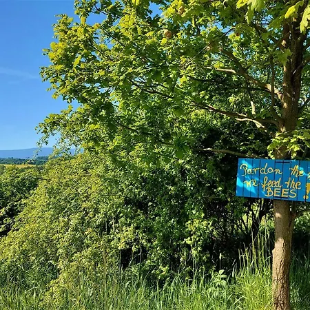 Alabajka 럭셔리텐트 Wlen