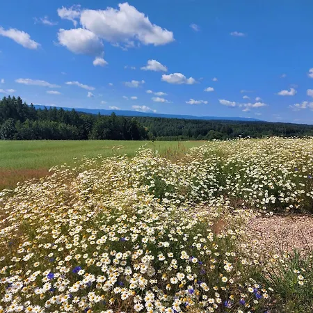 Alabajka 럭셔리텐트 Wlen