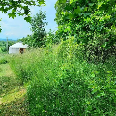 Luxury tent Alabajka Wlen