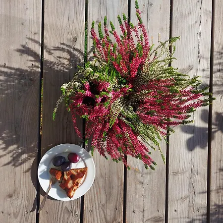 Alabajka Luxury tent