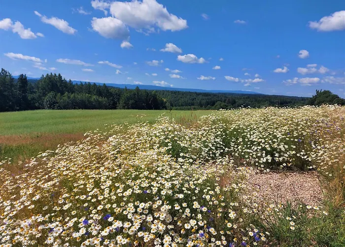 Alabajka Luxury tent Wlen