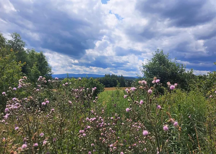 Οργανωμένο κάμπινγκ Alabajka